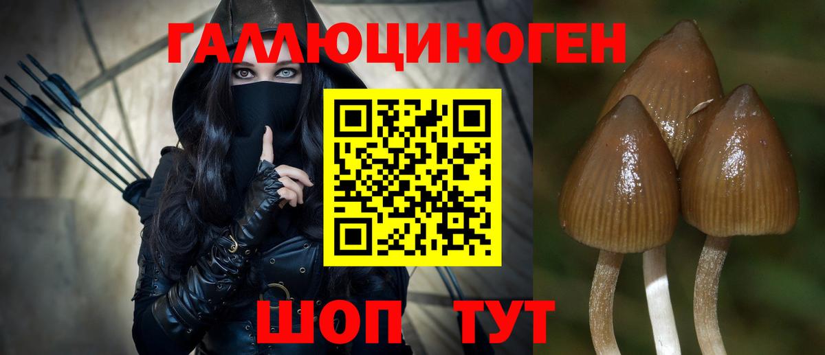 Галлюциногенные грибы Magic Shrooms Ивантеевка